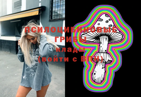 тгк Вязники
