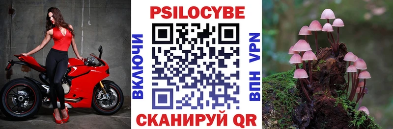 продажа наркотиков  Шагонар  Галлюциногенные грибы мицелий 